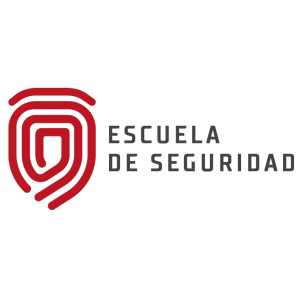 Seguridad en L&iacute;nea